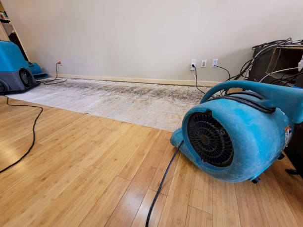 Reliable Basement Flood Cleanup contractor in Clayton, MO by Hirex Water Damage