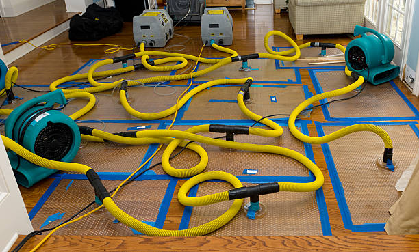 Professional Basement Flood Cleanup technician working in Clayton, MO